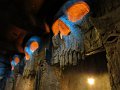 Kids_FL-Day4_11-2016 (14)